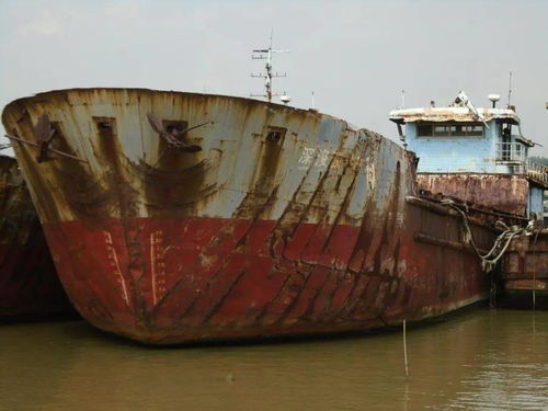 國際船舶運輸市場動態(tài) 運泥船‘深浚駁001’等船舶拍賣信息解析